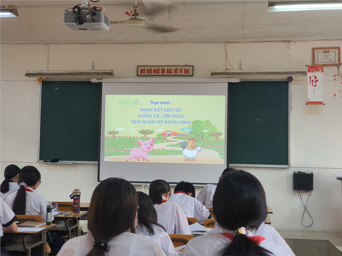 Ảnh đại diện